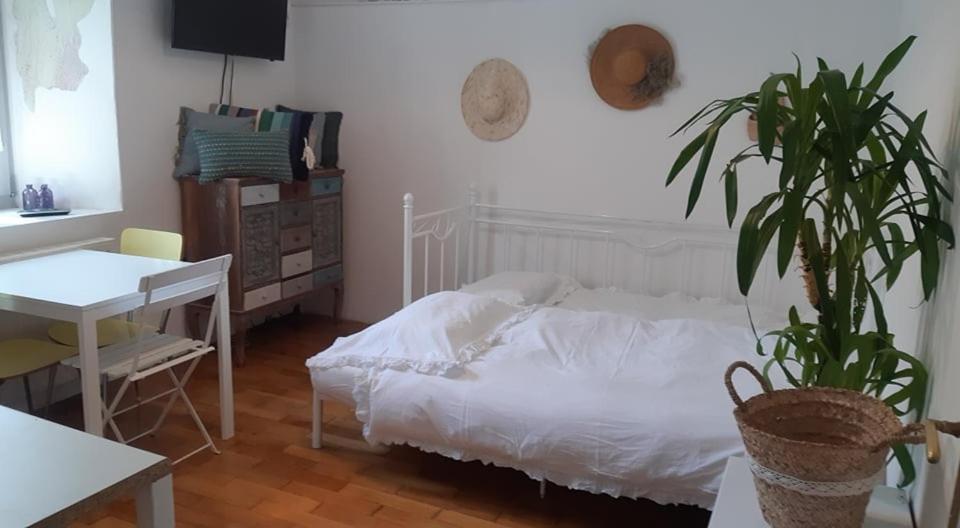 Little Garden Apartment Piran Ngoại thất bức ảnh