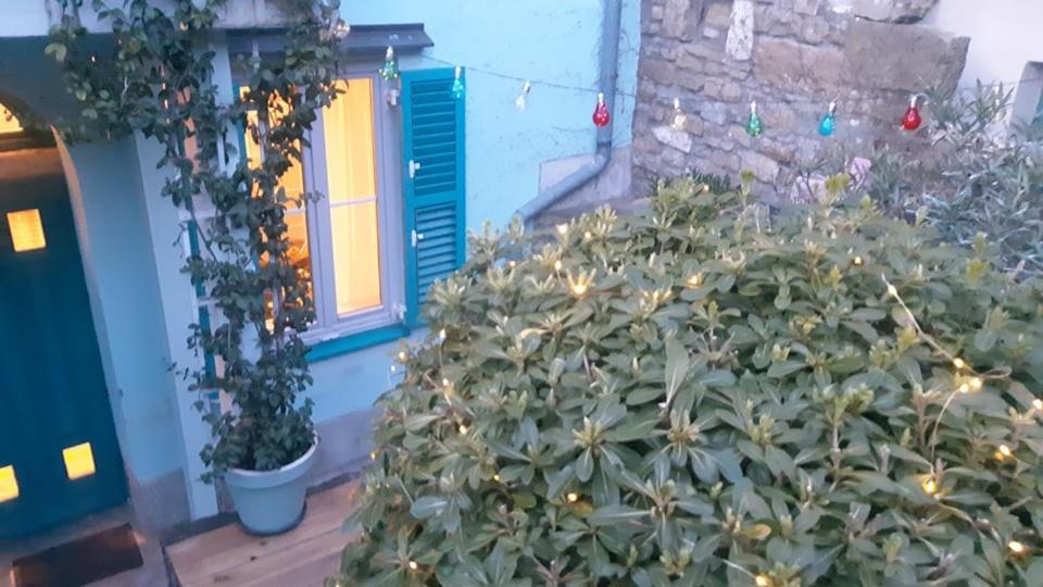 Little Garden Apartment Piran Ngoại thất bức ảnh